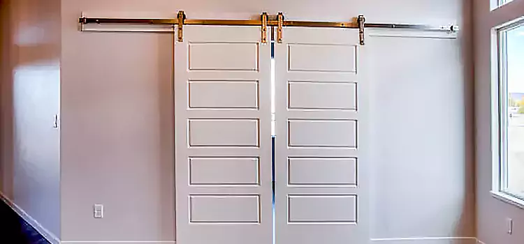 Glass Barn Door with Installation Hardware Kit La Porte