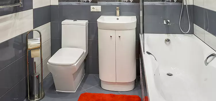 Hansgrohe Shaving Mirror La Porte